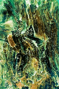 A 344D